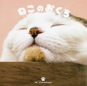 おねこ出品 Amazon.co.jp: ミニチュア 猫 9匹セット かわいい ネコ オブジェ